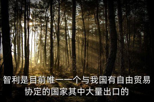 智利是目前唯一一個(gè)與我國(guó)有自由貿(mào)易協(xié)定的國(guó)家其中大量出口的