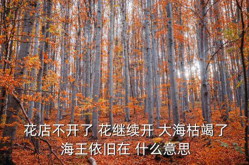  花店不開了 花繼續(xù)開 大?？萁吡?海王依舊在 什么意思