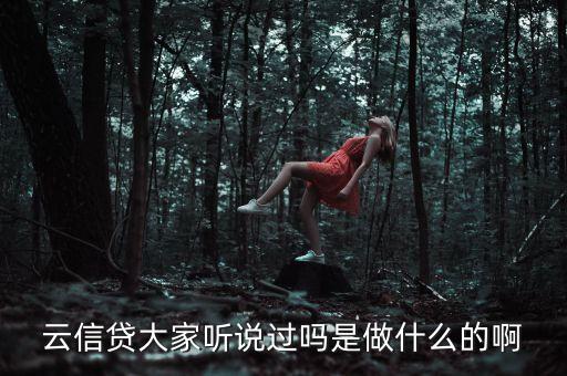 家園云貸是什么東西，家園云貸是什么意思