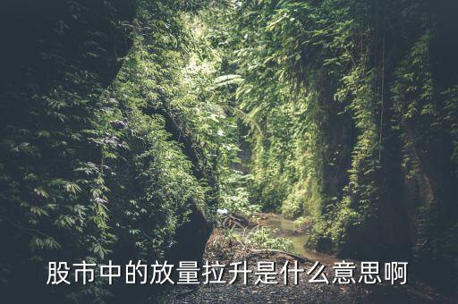 股市中的放量拉升是什么意思啊