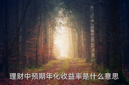 理財中預(yù)期年化收益率是什么意思
