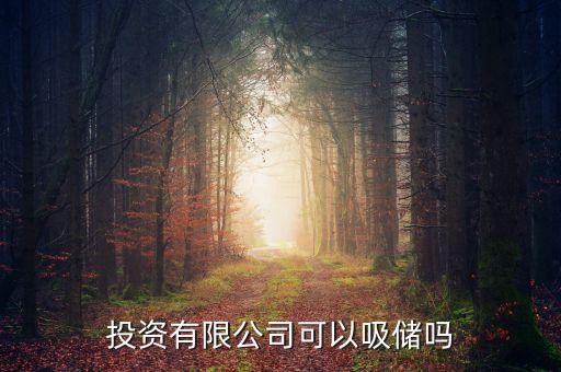 投資有限公司可以吸儲(chǔ)嗎