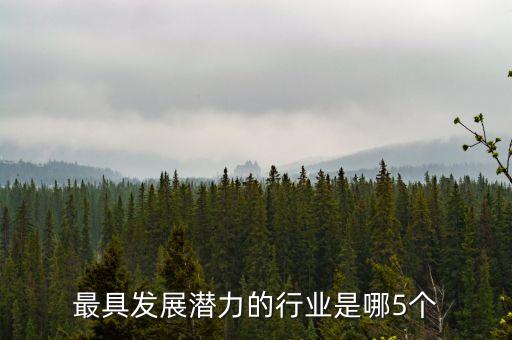 最具發(fā)展?jié)摿Φ男袠I(yè)是哪5個(gè)