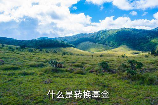 轉(zhuǎn)換基金是什么意思，基金里的轉(zhuǎn)換是什么意思