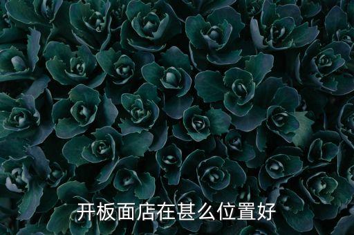 什么地方適合開(kāi)板面館，面館應(yīng)該在城市的什么地方開(kāi)最合適
