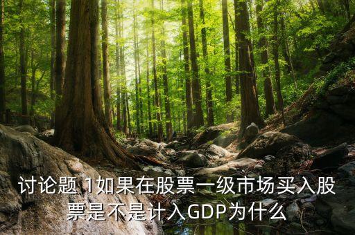 討論題 1如果在股票一級(jí)市場(chǎng)買(mǎi)入股票是不是計(jì)入GDP為什么
