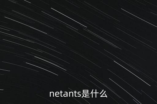 netants是什么