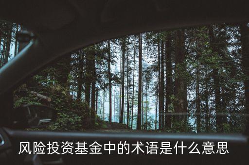 風(fēng)險基金是什么意思，何為風(fēng)險基金