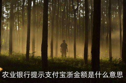 浙金額是什么意思，農(nóng)業(yè)銀行提示支付寶浙金額是什么意思