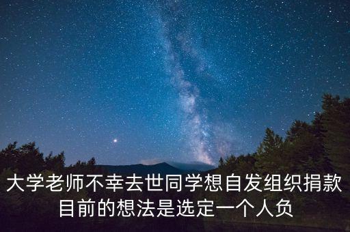 大學(xué)老師不幸去世同學(xué)想自發(fā)組織捐款目前的想法是選定一個(gè)人負(fù)