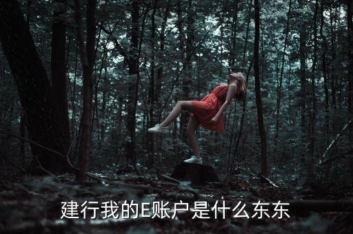 建設(shè)銀行e賬戶有什么用，建行e賬戶開通能干什么