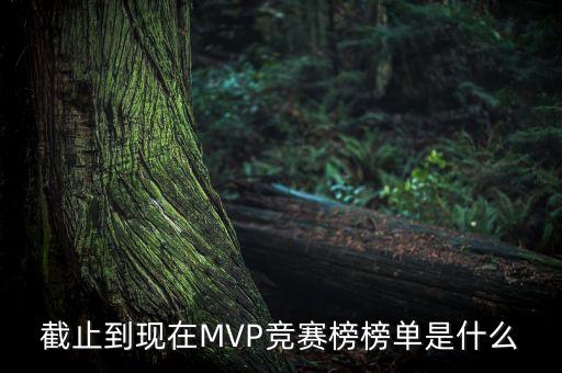 截止到現(xiàn)在MVP競賽榜榜單是什么