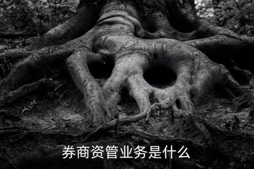 資管什么叫買方，券商資管業(yè)務是什么