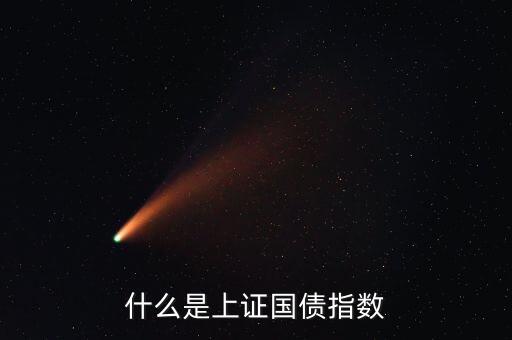 什么是上證國債指數(shù)