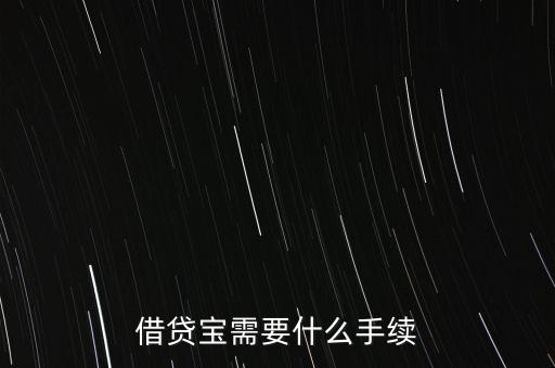 借貸寶需要什么手續(xù)