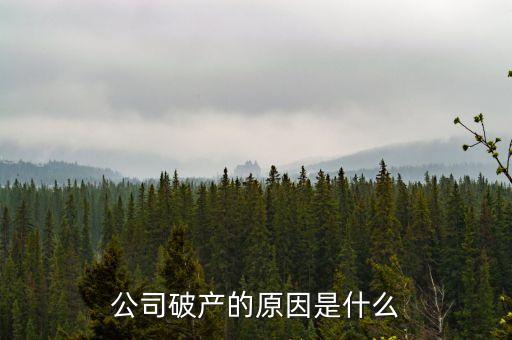 三英集團(tuán)為什么破產(chǎn)，公司破產(chǎn)的原因是什么