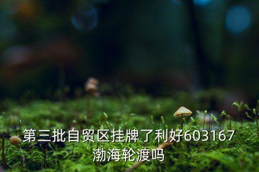 渤海輪渡有什么利好，請問一下煙臺勃海輪渡這個單位怎么樣呢三管輪工資是多少呢實習