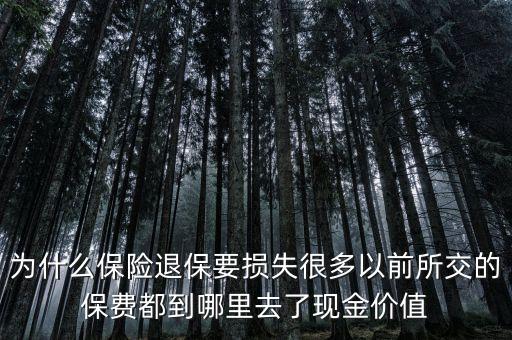 為什么保險退保要損失很多以前所交的保費(fèi)都到哪里去了現(xiàn)金價值