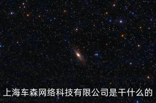 上海車森網(wǎng)絡(luò)科技有限公司是干什么的