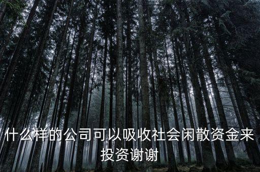 什么公司能吸儲，投資有限公司可以吸儲嗎