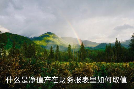 什么是凈值產(chǎn)在財務(wù)報表里如何取值
