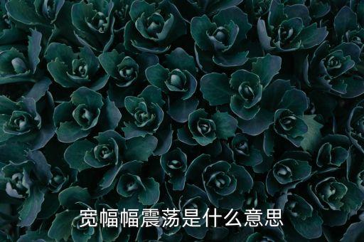 寬幅幅震蕩是什么意思