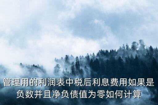 管理用的利潤表中稅后利息費用如果是負數(shù)并且凈負債值為零如何計算