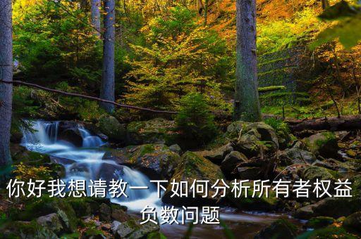 你好我想請(qǐng)教一下如何分析所有者權(quán)益負(fù)數(shù)問(wèn)題
