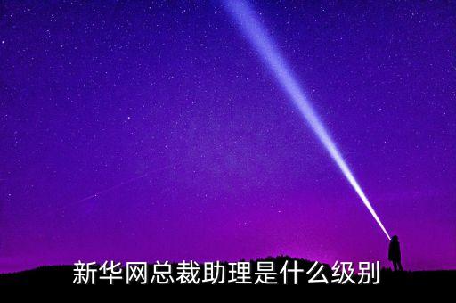 人民網(wǎng)總裁什么級別，人民網(wǎng)總裁廖玒被查是什么原因廖玒為什么被查 廖玒簡歷背景資料
