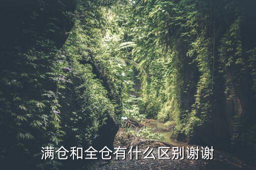滿倉和全倉有什么區(qū)別謝謝