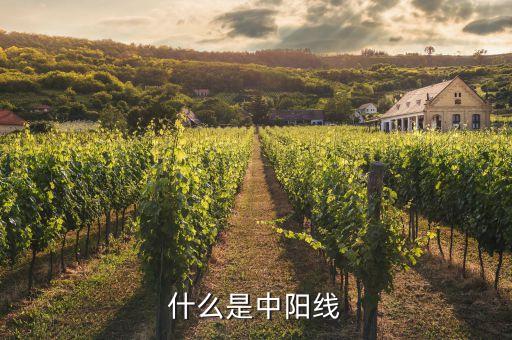 什么是中陽(yáng)線