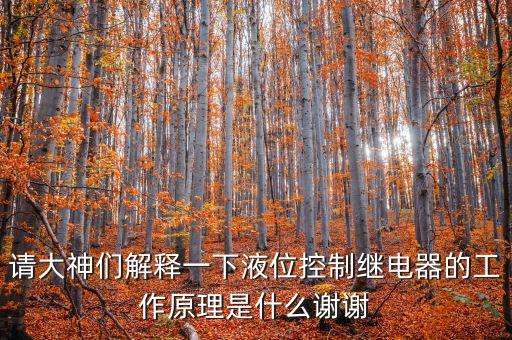 請大神們解釋一下液位控制繼電器的工作原理是什么謝謝