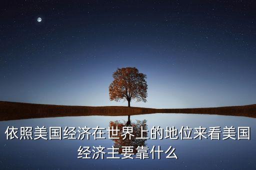 依照美國經(jīng)濟(jì)在世界上的地位來看美國經(jīng)濟(jì)主要靠什么