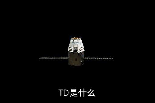 TD是什么