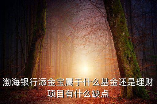 渤海銀行添金寶屬于什么基金還是理財(cái)項(xiàng)目有什么缺點(diǎn)