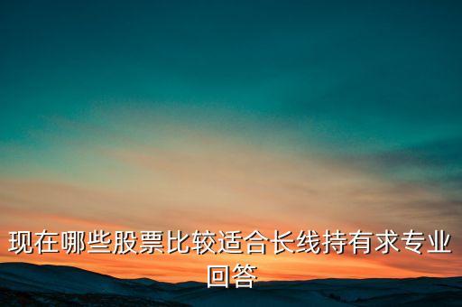 現(xiàn)在哪些股票比較適合長線持有求專業(yè)回答