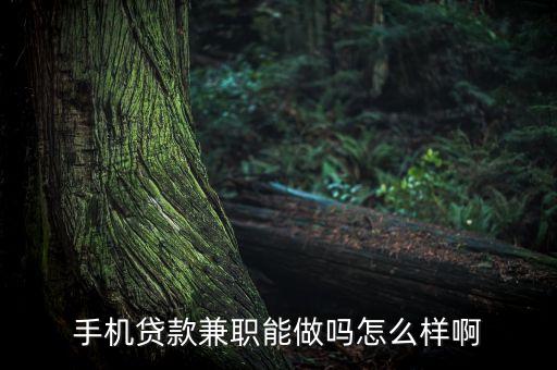 手機(jī)貸款兼職能做嗎怎么樣啊