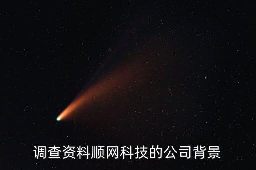 調(diào)查資料順網(wǎng)科技的公司背景