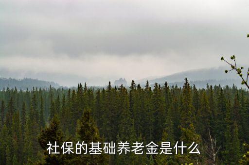 社保的基礎(chǔ)養(yǎng)老金是什么