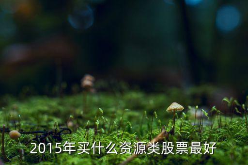 2015年買什么資源類股票最好