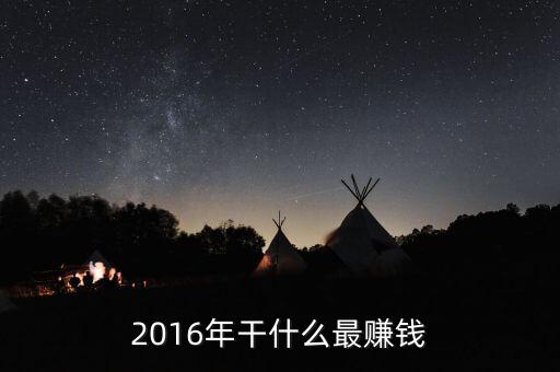 2016年干什么最賺錢