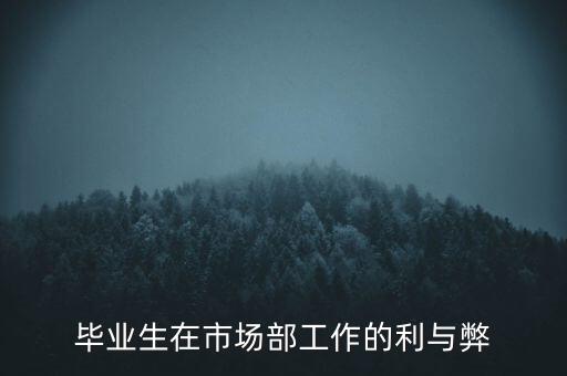 畢業(yè)生在市場部工作的利與弊