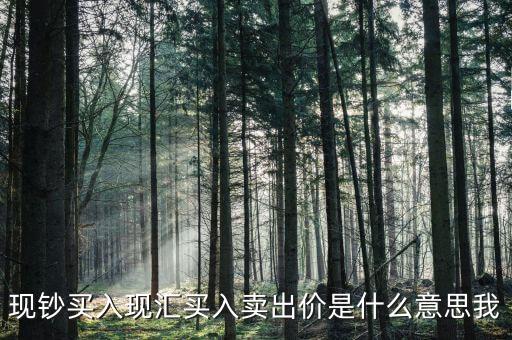 現(xiàn)鈔賣出價是什么意思，現(xiàn)鈔買入現(xiàn)匯買入賣出價是什么意思我
