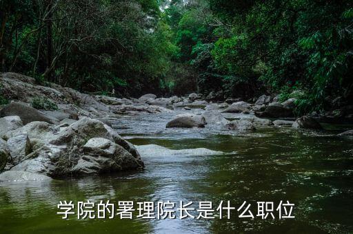 署理主席是什么意思，暑理是什么職務(wù)