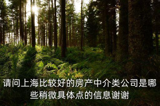 請(qǐng)問(wèn)上海比較好的房產(chǎn)中介類(lèi)公司是哪些稍微具體點(diǎn)的信息謝謝