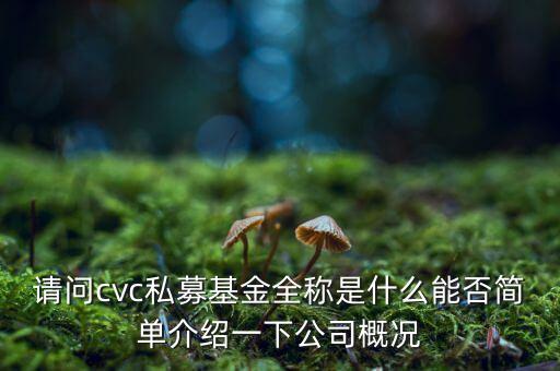 cvc集團還有什么投資，著名私募基金有哪些分別是哪家公司發(fā)行的