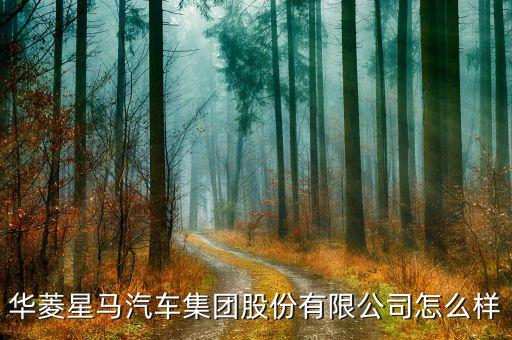 華菱星馬生產(chǎn)什么，華菱星馬汽車(chē)集團(tuán)股份有限公司怎么樣