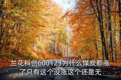 蘭花科創(chuàng)為什么不漲，601001怎么不漲啊