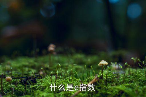 明晟指數(shù)是什么，行車記錄儀這個(gè)圖標(biāo)的含義是什么