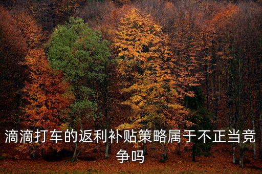 滴滴打車的返利補貼策略屬于不正當競爭嗎